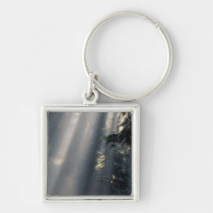 North America, USA, Washington, Olympic NP, Key Ring