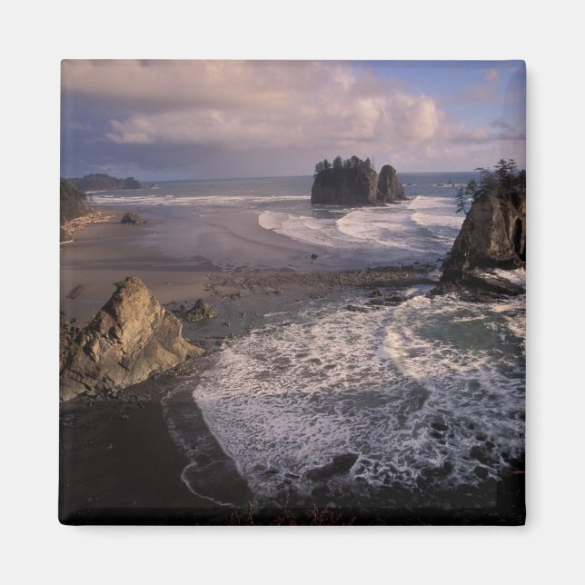 North America, USA, Washington, Olympic NP, Magnet (Front)