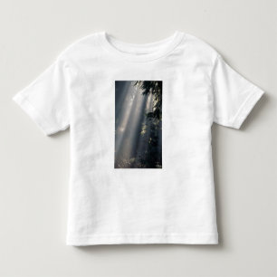 North America, USA, Washington, Olympic NP, Toddler T-Shirt