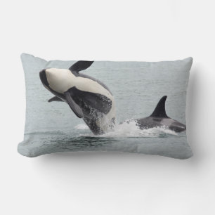 North America, USA, Washington, San Juan Lumbar Cushion