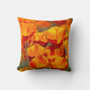 North America, USA, Washington, Seattle Cushion