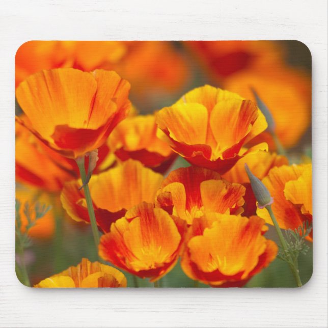 North America, USA, Washington, Seattle Mouse Pad (Front)