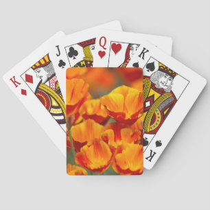 North America, USA, Washington, Seattle Playing Cards