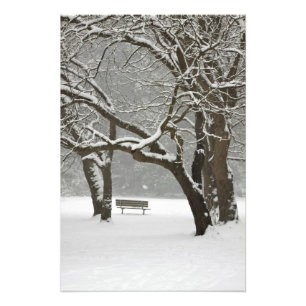 North America, USA, Washington, Seattle, Snow 2 Photo Print