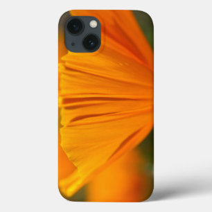North America, USA, Washington, Seattle, Summer iPhone 13 Case
