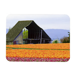 North America, USA, Washington, Skagit Valley. 2 Magnet