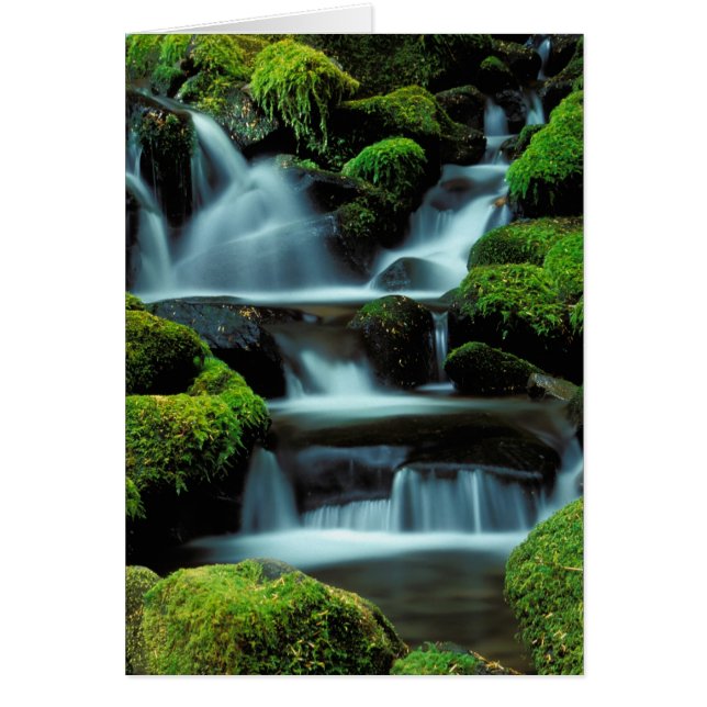 North America; USA; Washington, Sol Duc Cascade (Front)