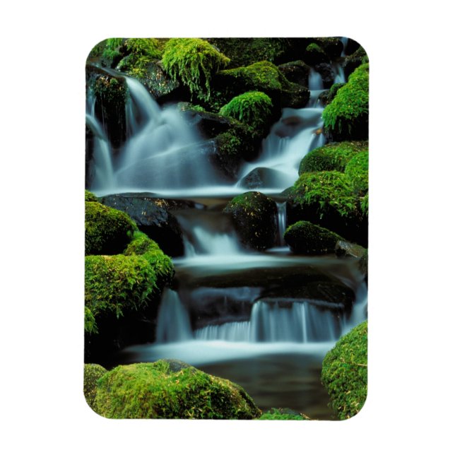 North America; USA; Washington, Sol Duc Cascade Magnet (Vertical)