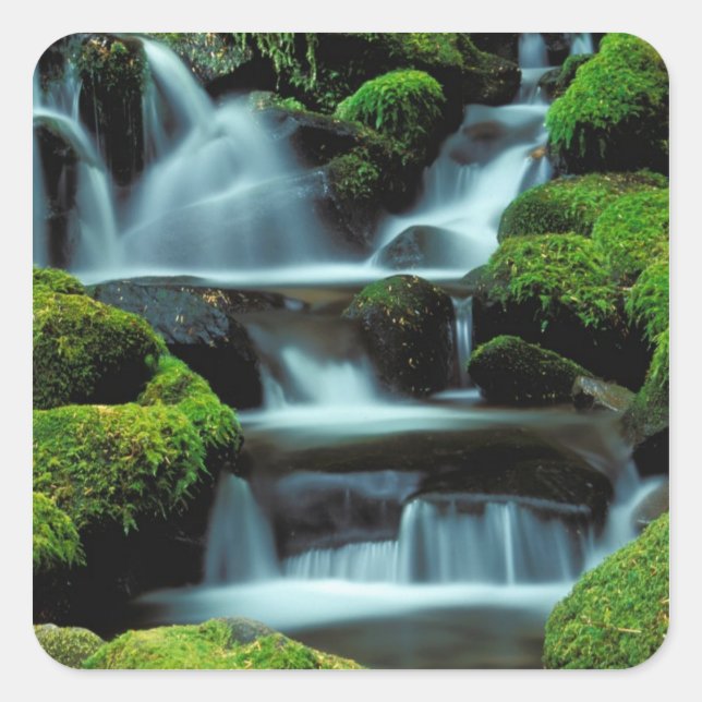 North America; USA; Washington, Sol Duc Cascade Square Sticker (Front)