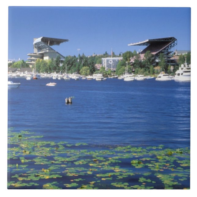 North America, USA, Washington State, Seattle, Tile (Front)