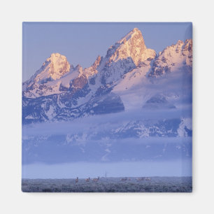 North America, USA, Wyoming, Grand Teton NP, 2 Magnet