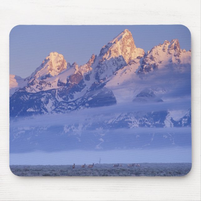 North America, USA, Wyoming, Grand Teton NP, 2 Mouse Pad (Front)