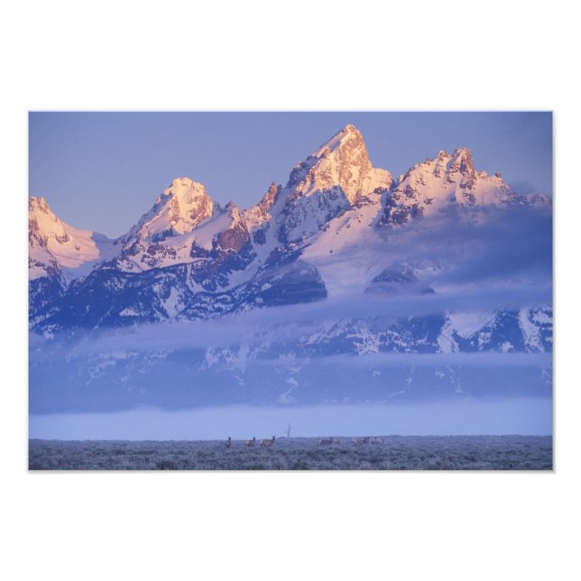 North America, USA, Wyoming, Grand Teton NP, 2 Photo Print (Front)