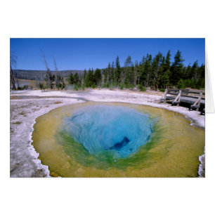 North America, USA, Wyoming, Yellowstone 2