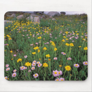 North America, USA, Wyoming, Yellowstone 2 Mouse Pad