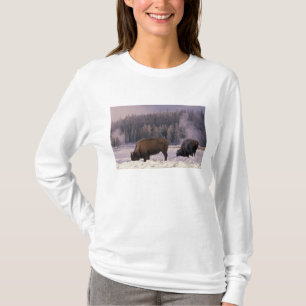 North America, USA, Wyoming, Yellowstone NP, T-Shirt