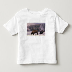 North America, USA, Wyoming, Yellowstone NP, Toddler T-Shirt