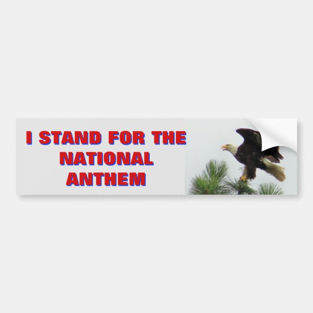 North American Bald Eagle I Stand For The Anthem Bumper Sticker (Front)
