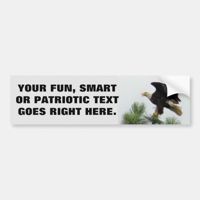 North American Bald Eagle with Your Phrase Bumper Sticker (Front)