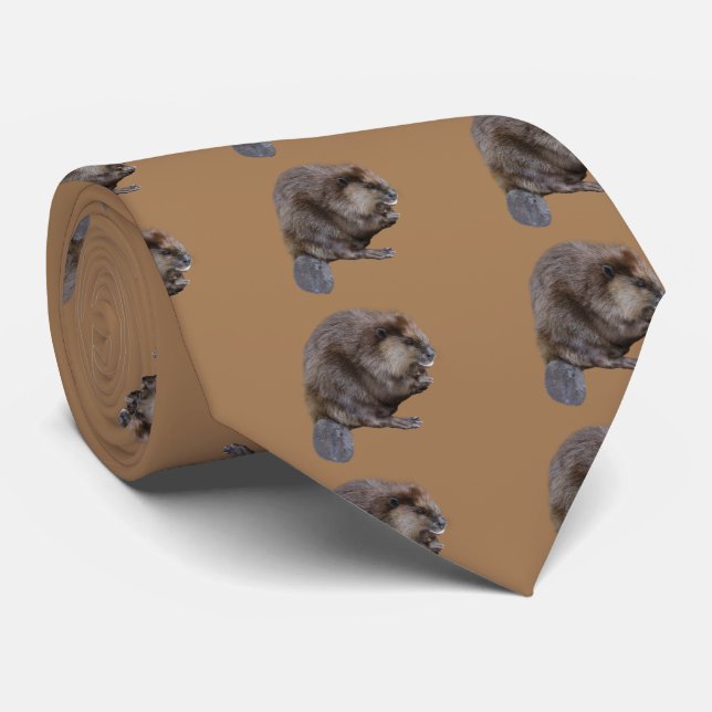 North American beaver Tie (Rolled)