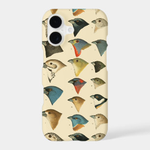 North American Birds