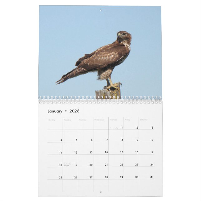 North American Birds 2010 Calendar (Jan 2026)