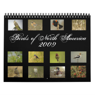 North American Birds Calendar