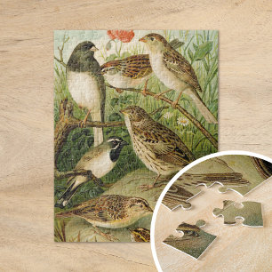 North American Birds Gustav Mützel Jigsaw Puzzle