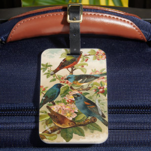 North American Birds Gustav Mützel Luggage Tag