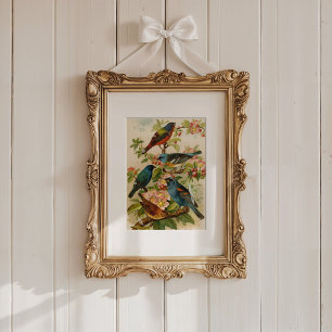 North American Birds   Gustav Mützel Poster