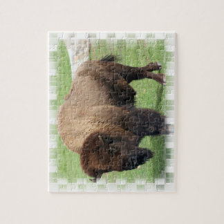 North American Bison Puzzle