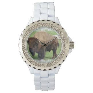 North American Buffalo Watch