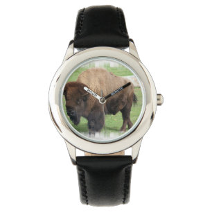 North American Buffalo Watch