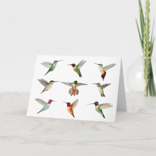 North American Hummingbirds  Card
