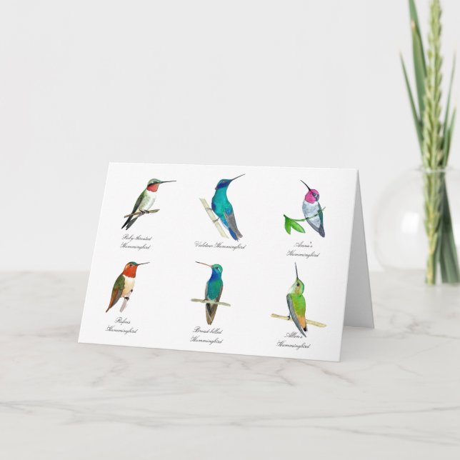 North American Hummingbirds  Card (Front)