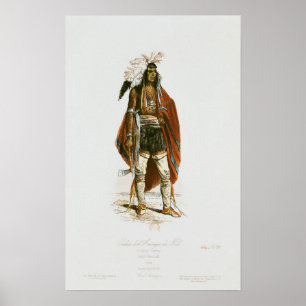 North American Indian Poster