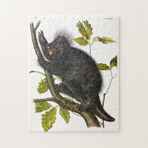 North American or Canada Porcupine by Audubon Jigsaw Puzzle