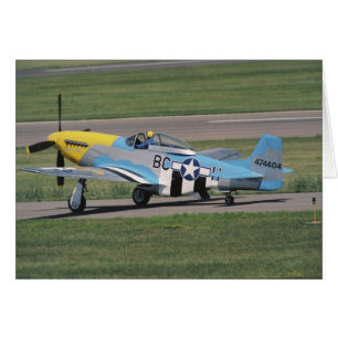 North American P-51 D Dazzling Donna on the