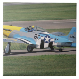 North American P-51 D Dazzling Donna on the Tile