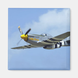 North American P-51D Mustang, Little Horse Magnet
