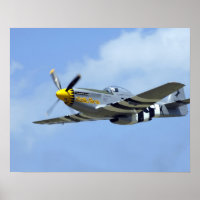 North American P-51D Mustang, Little Horse