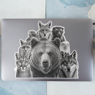 North American Predators Woodland Animals