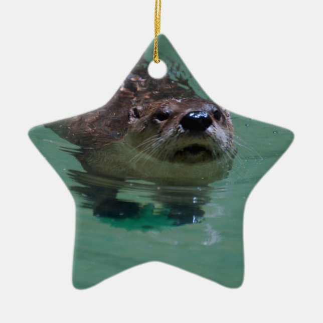 North American River Otter Ceramic Tree Decoration (Front)