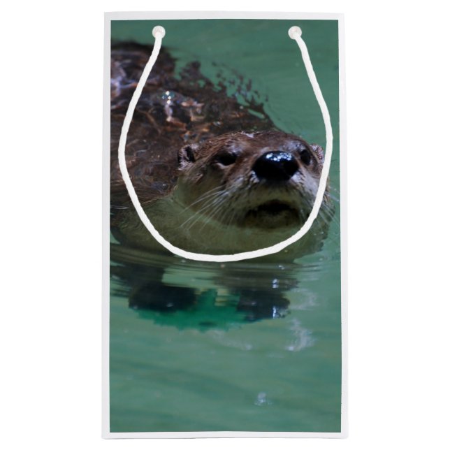 North American River Otter Small Gift Bag (Back)