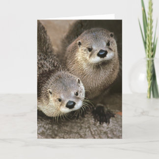 North American River Otters Card