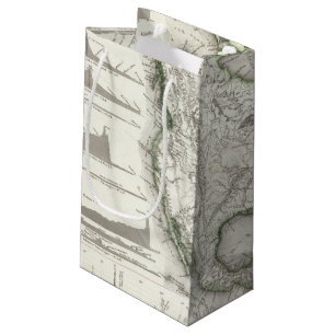 North American Rivers and Mountains Small Gift Bag