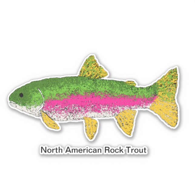 North American Rock Trout (Front)