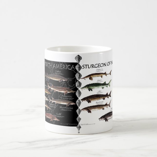 North American Sturgeon Posters Mug (Center)
