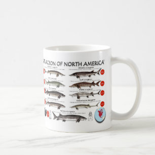North American Sturgeon RedList Mug