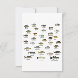 North American Sunfish Group Thank You Card